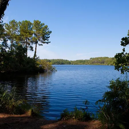 Bel Cosy Dans Avec Piscine 5 Minutes Apartment Messanges (Landes)