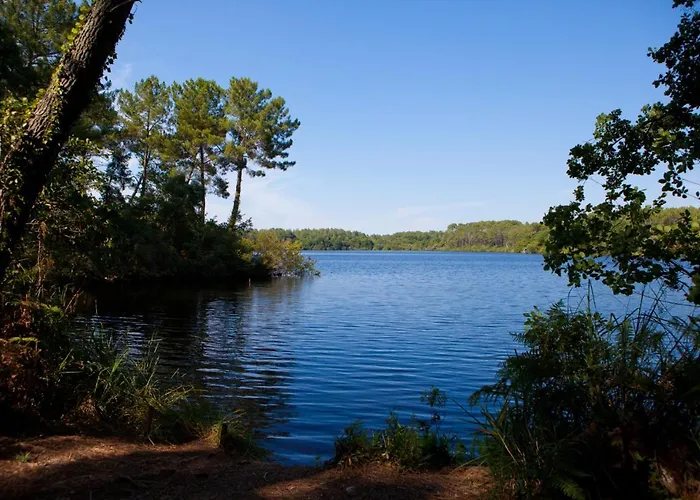Bel Cosy Dans Avec Piscine 5 Minutes Apartamento Messanges (Landes)